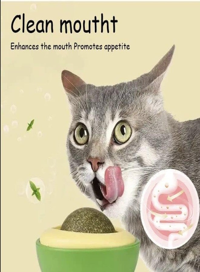 JD PRO Catnip Ball Toy for Cats Interactive Cat Toy Rotating Paw Catnip Ball Kitten Pet Self-Healing Cleaning Teeth Chew Toys Cat Wall Treats for Cats Lick (Avocado) - Image 4
